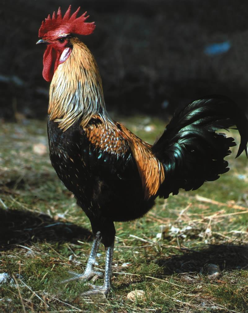 0512 Şirketi